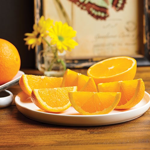 Navel Oranges Florida Indian River Groves